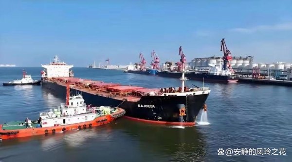 沪深优配 中国大豆采购大动作！瞄准巴西规模惊人引外媒侧目速度快超乎想象