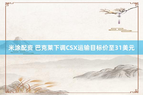 米涂配资 巴克莱下调CSX运输目标价至31美元