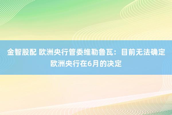 金智股配 欧洲央行管委维勒鲁瓦：目前无法确定欧洲央行在6月的决定