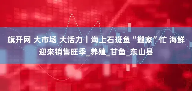 旗开网 大市场 大活力丨海上石斑鱼“搬家”忙 海鲜迎来销售旺季_养殖_甘鱼_东山县
