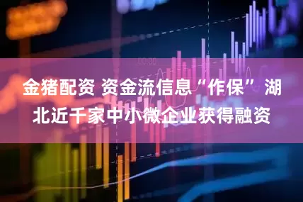 金猪配资 资金流信息“作保” 湖北近千家中小微企业获得融资