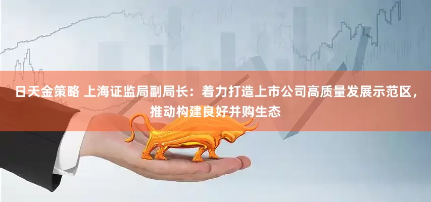 日天金策略 上海证监局副局长：着力打造上市公司高质量发展示范区，推动构建良好并购生态