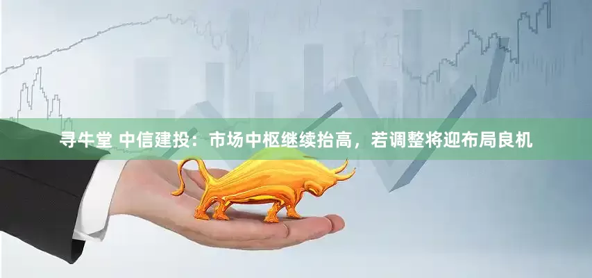 寻牛堂 中信建投：市场中枢继续抬高，若调整将迎布局良机