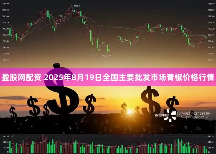 盈股网配资 2025年8月19日全国主要批发市场青椒价格行情