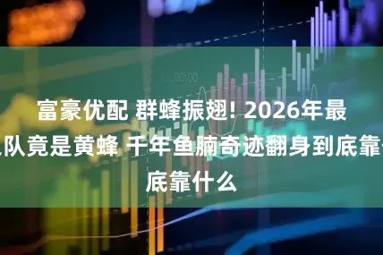 富豪优配 群蜂振翅! 2026年最火之队竟是黄蜂 千年鱼腩奇迹翻身到底靠什么